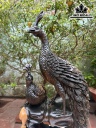Tượng Chim Gỗ Mun Hoa Cao 63 Ngang 28 Sâu 13 (cm)
