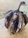Tác Phẩm Quả Bí Ngô Gỗ Hóa Ngọc Cao 20 Ngang 21 (cm) 7,4kg
