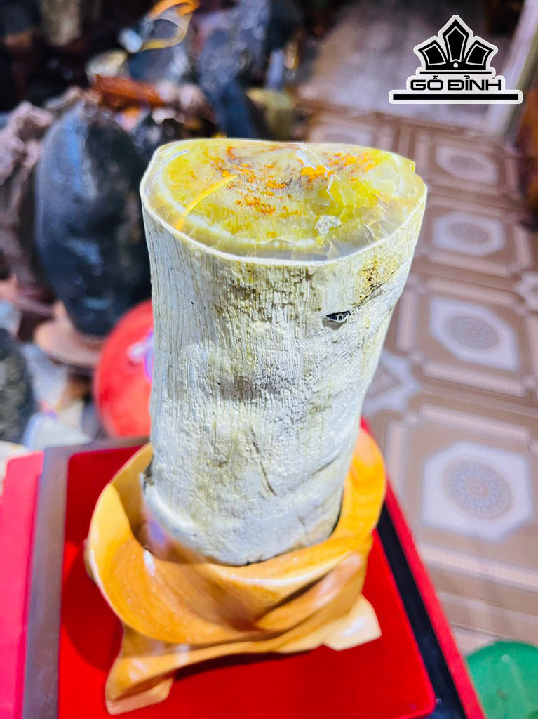 Tác Phẩm Gỗ Hóa Thạch Cao 24 (cm) 1,8kg