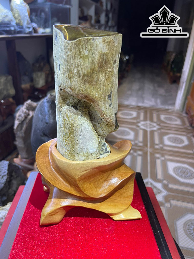 Tác Phẩm Gỗ Hóa Thạch Cao 24 (cm) 1,8kg