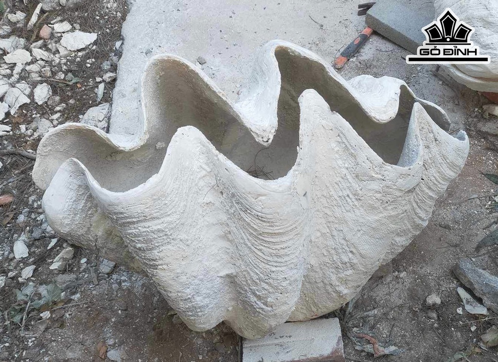 Tác Phẩm Sò Hóa Thạch Cao 78 (cm) 70kg