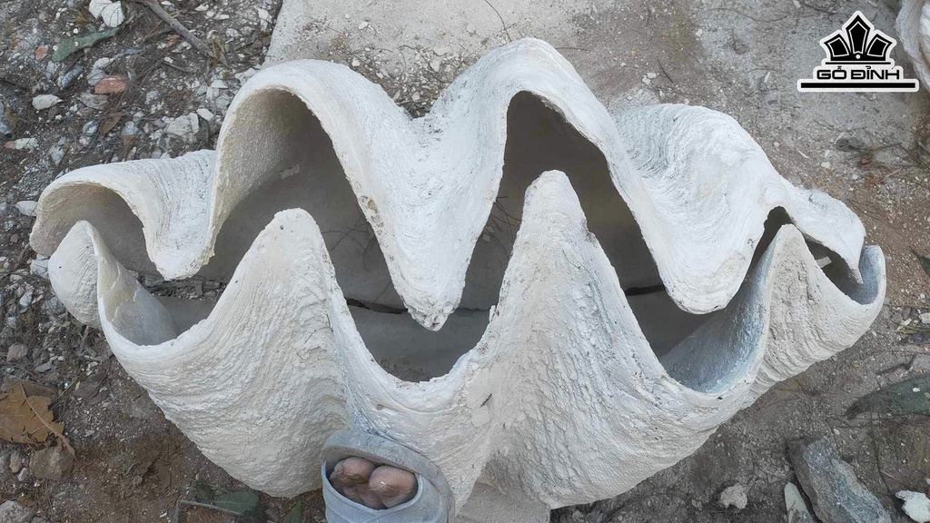 Tác Phẩm Sò Hóa Thạch Cao 78 (cm) 70kg