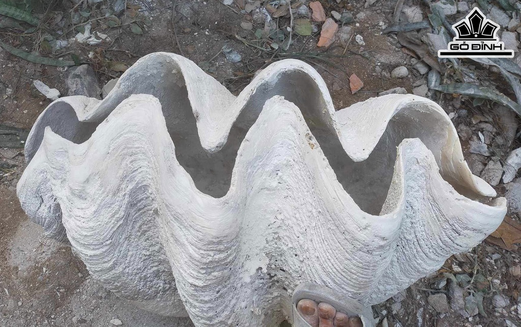 Tác Phẩm Sò Hóa Thạch Cao 78 (cm) 70kg