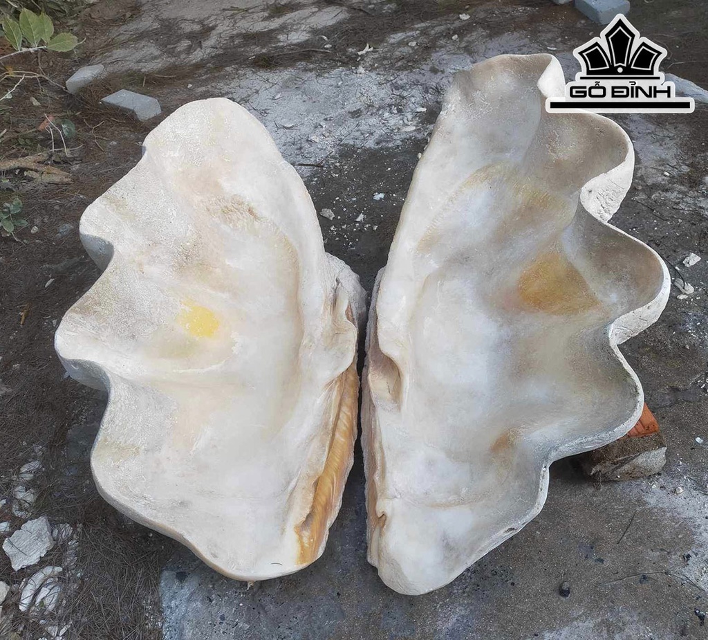 Tác Phẩm Sò Hóa Thạch Cao 82 (cm) 90kg