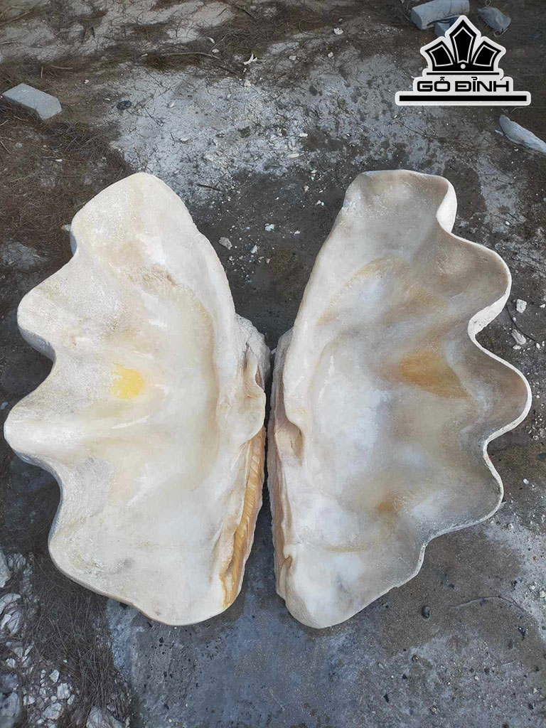 Tác Phẩm Sò Hóa Thạch Cao 82 (cm) 90kg