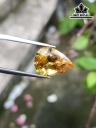 Viên Ngọc Đá Citrine Vàng Cao 15,2 Ngang 11,2 Sâu 8,5 (mm) 7,15cts