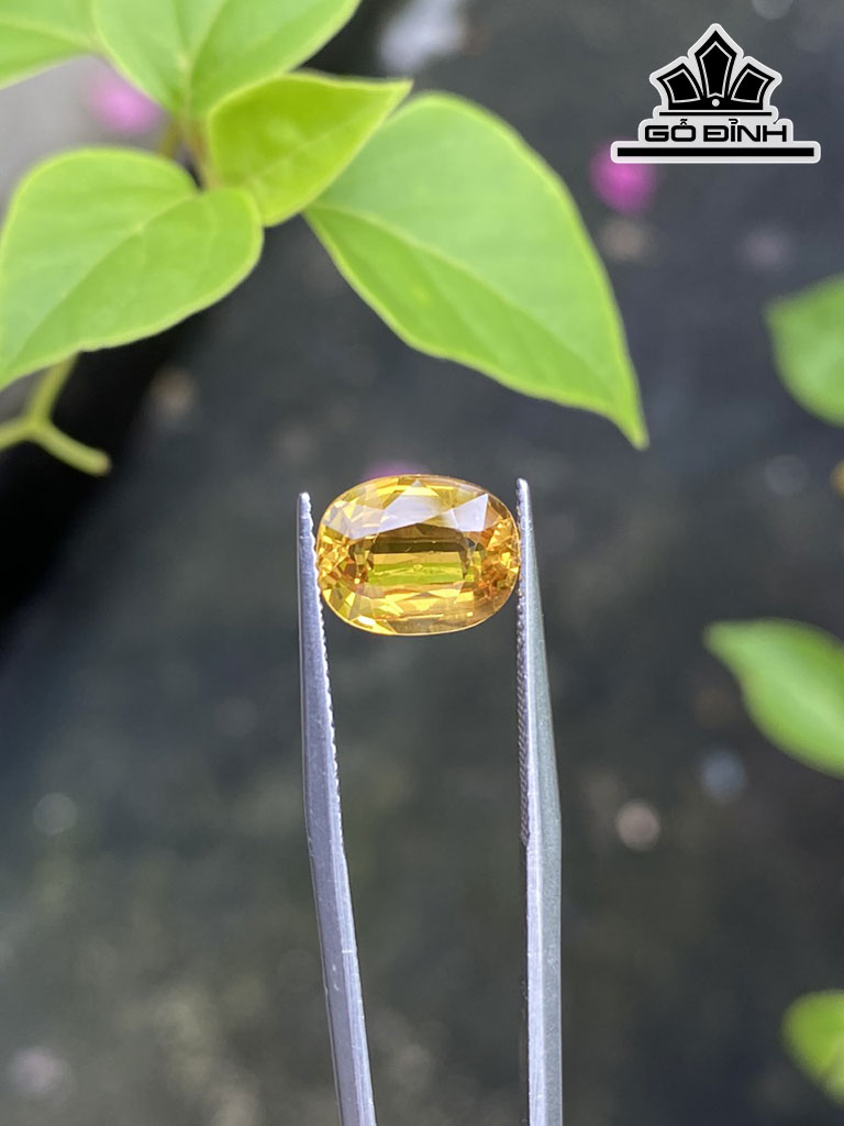 Viên Ngọc Đá Sapphire Vàng Cao 10,4 Ngang 8,2 Sâu 5 (mm) 3,94cts