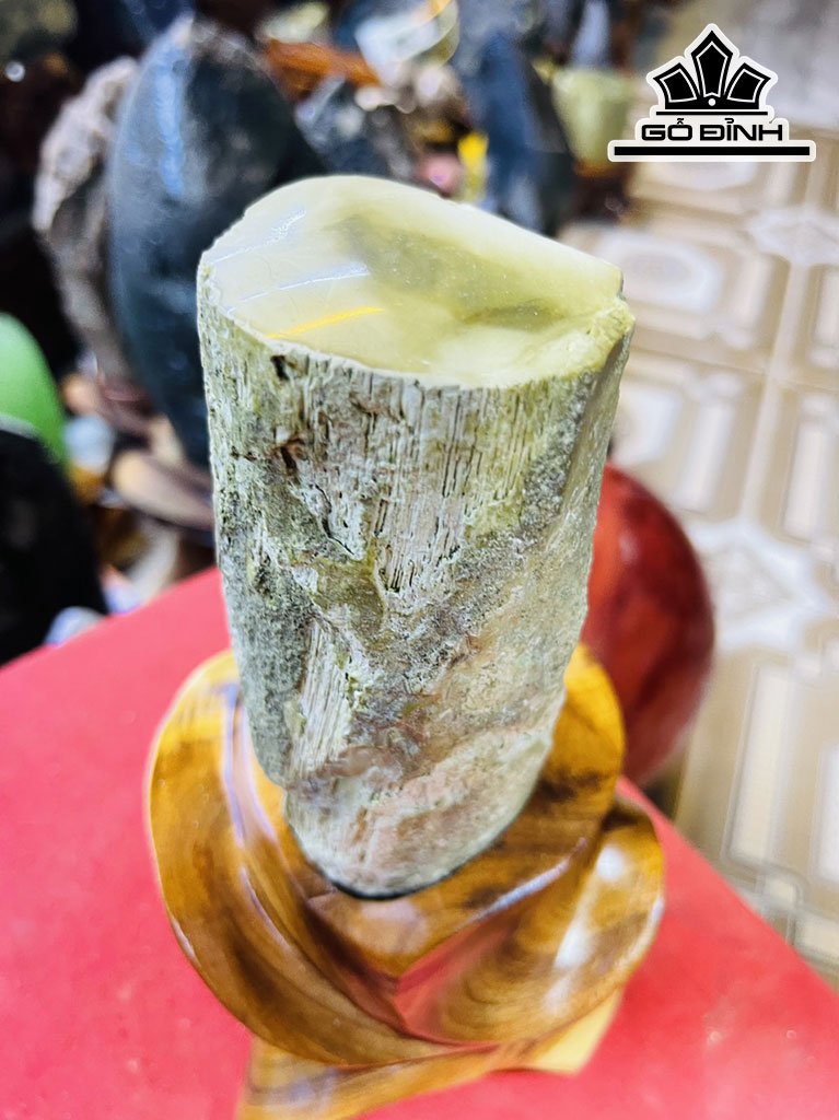 Tác Phẩm Gỗ Hóa Thạch Cao 21 (cm) 1,5kg