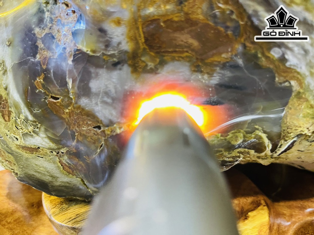 Tác Phẩm Gỗ Hóa Thạch Cao 52 Ngang 40 (cm) 30kg