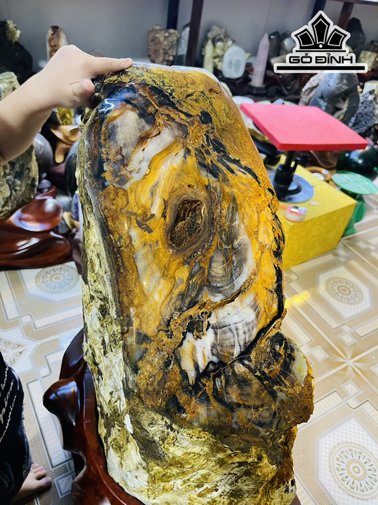 Tác Phẩm Gỗ Hóa Thạch Cao 73 Ngang 35 (cm) 62kg