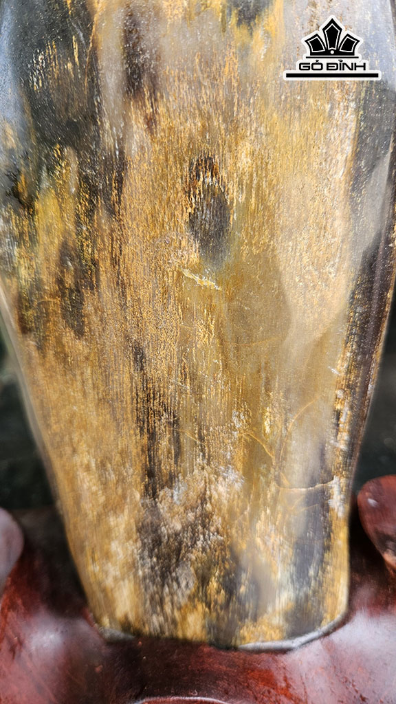 Tác Phẩm Gỗ Hóa Thạch Cao 29 Ngang 12 (cm) 3kg