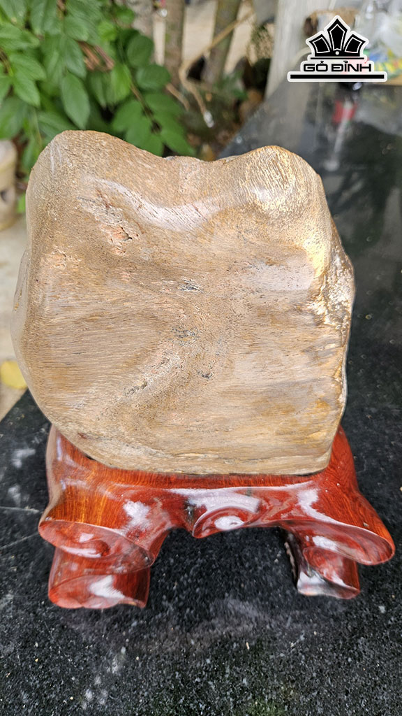 Tác Phẩm Gỗ Hóa Thạch Cao 32 Ngang 18 (cm) 6kg