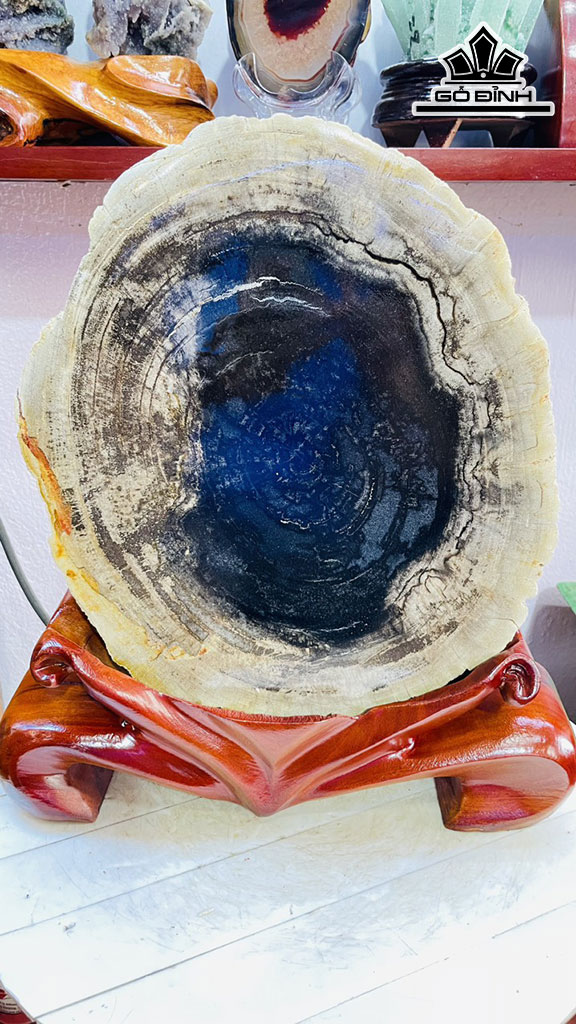 Tác Phẩm Gỗ Hóa Thạch Cao 37 Rộng 27 Sâu 5 (cm) 8,6kg