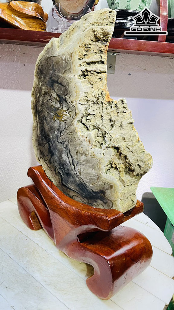 Tác Phẩm Gỗ Hóa Thạch Cao 40 Rộng 25 (cm) 6,5kg