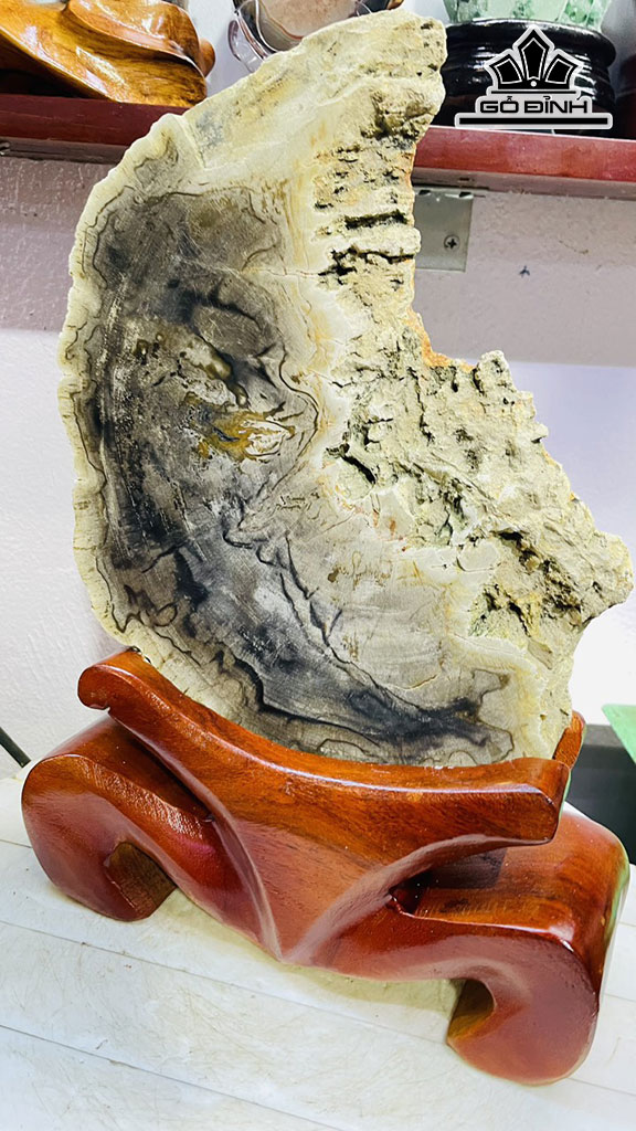 Tác Phẩm Gỗ Hóa Thạch Cao 40 Rộng 25 (cm) 6,5kg