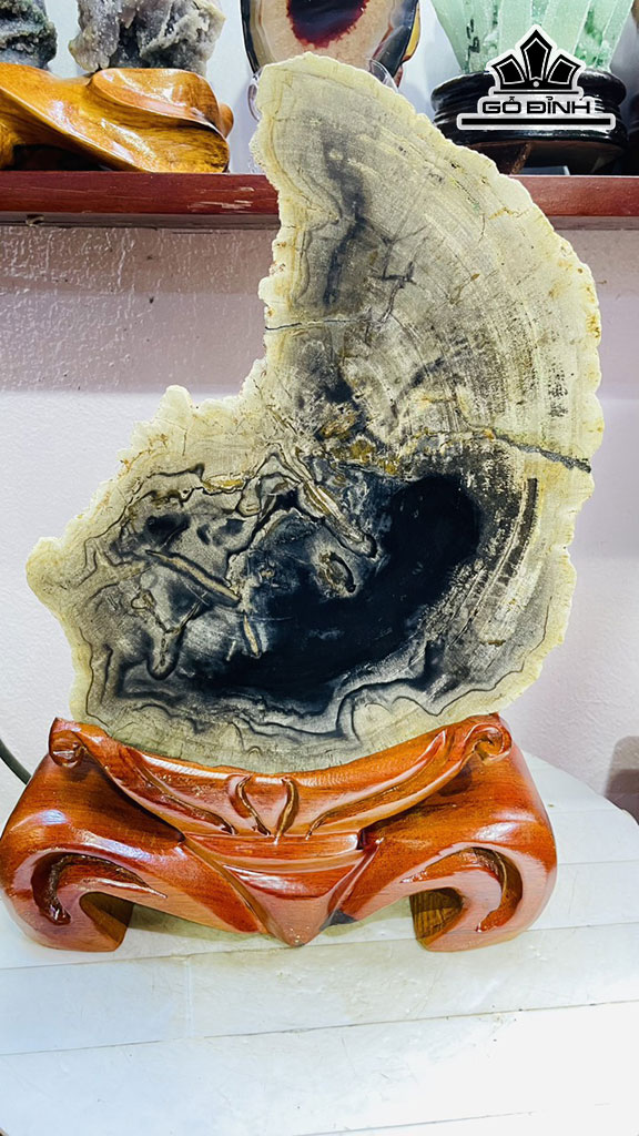 Tác Phẩm Gỗ Hóa Thạch Cao 40 Rộng 25 (cm) 6,5kg