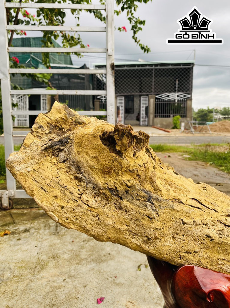Tác Phẩm Gỗ Hóa Thạch Cao 48 Rộng 75 (cm) 22,5kg
