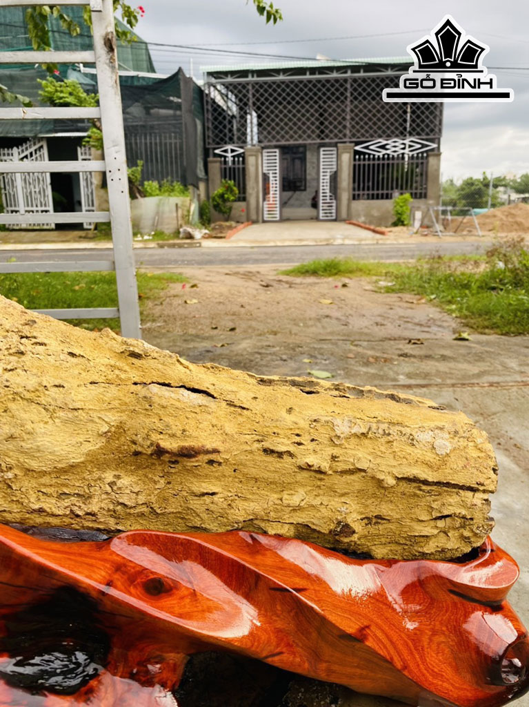 Tác Phẩm Gỗ Hóa Thạch Cao 48 Rộng 75 (cm) 22,5kg