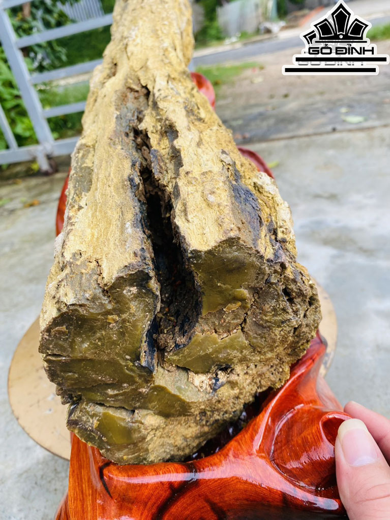 Tác Phẩm Gỗ Hóa Thạch Cao 48 Rộng 75 (cm) 22,5kg