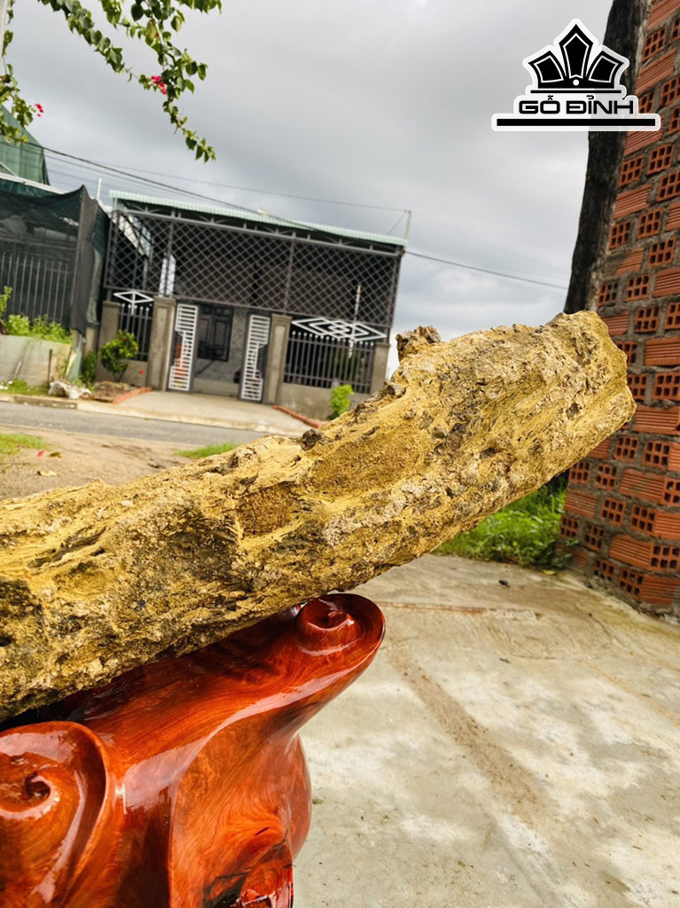 Tác Phẩm Gỗ Hóa Thạch Cao 48 Rộng 75 (cm) 22,5kg