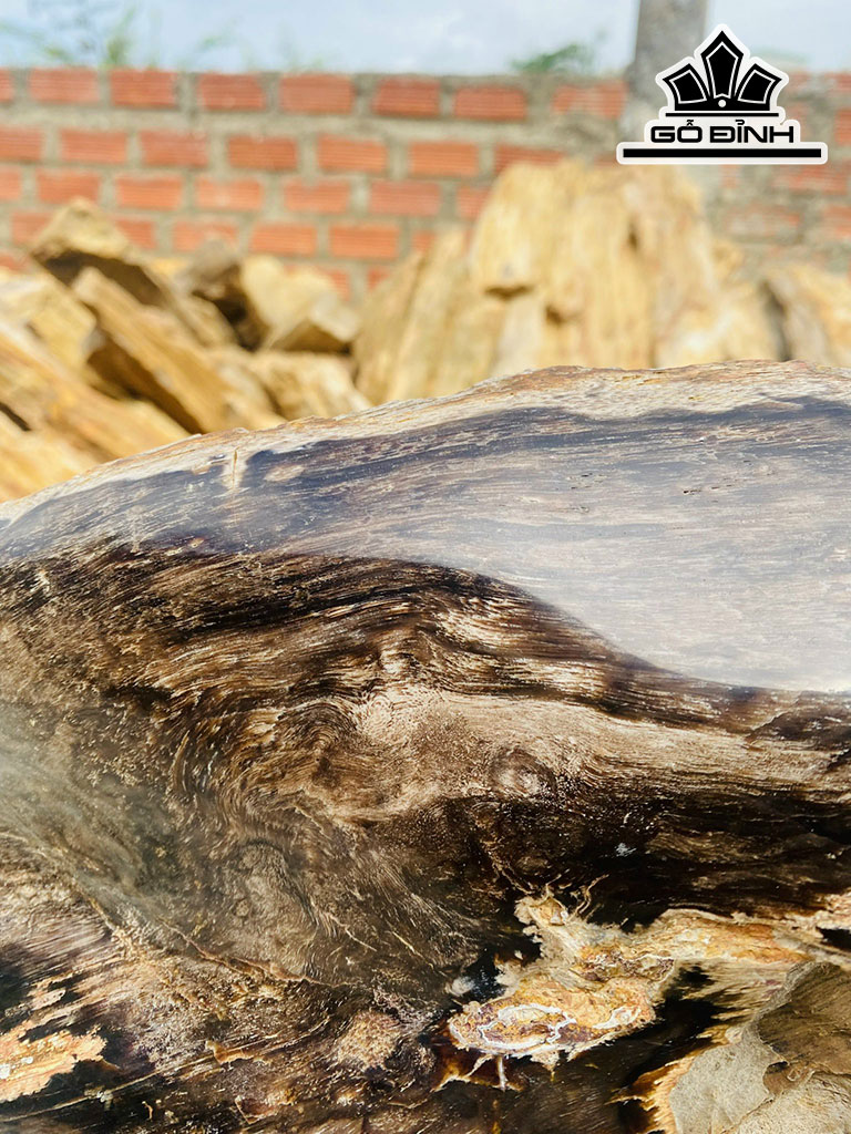 Tác Phẩm Gỗ Hóa Thạch Cao 50 Ngang 70 (cm) 71kg