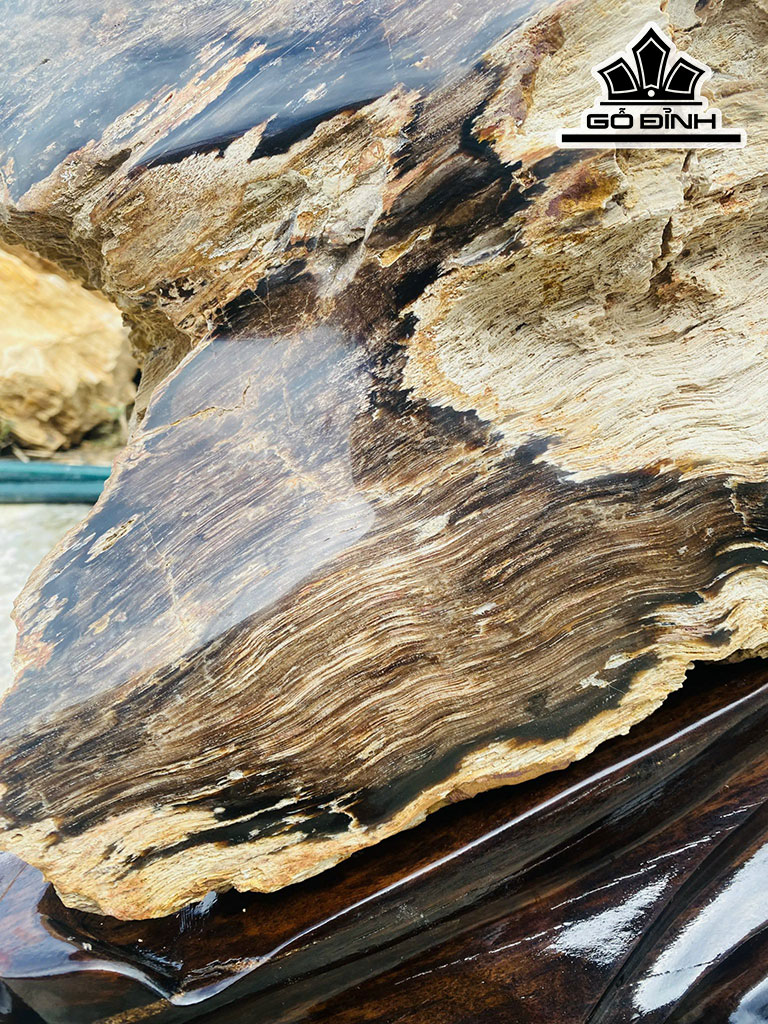 Tác Phẩm Gỗ Hóa Thạch Cao 50 Ngang 70 (cm) 71kg