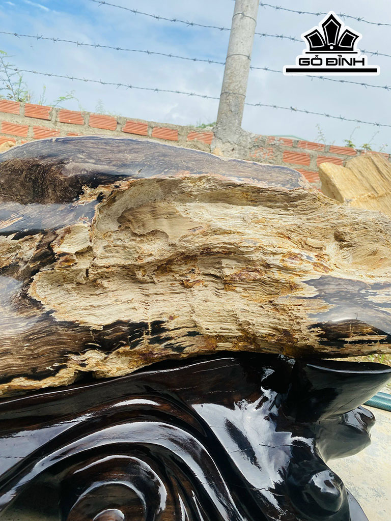 Tác Phẩm Gỗ Hóa Thạch Cao 50 Ngang 70 (cm) 71kg