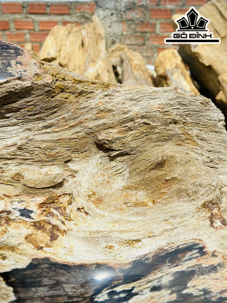Tác Phẩm Gỗ Hóa Thạch Cao 50 Ngang 70 (cm) 71kg