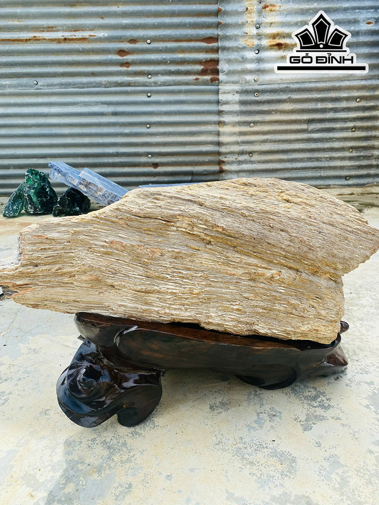 Tác Phẩm Gỗ Hóa Thạch Cao 50 Ngang 70 (cm) 71kg