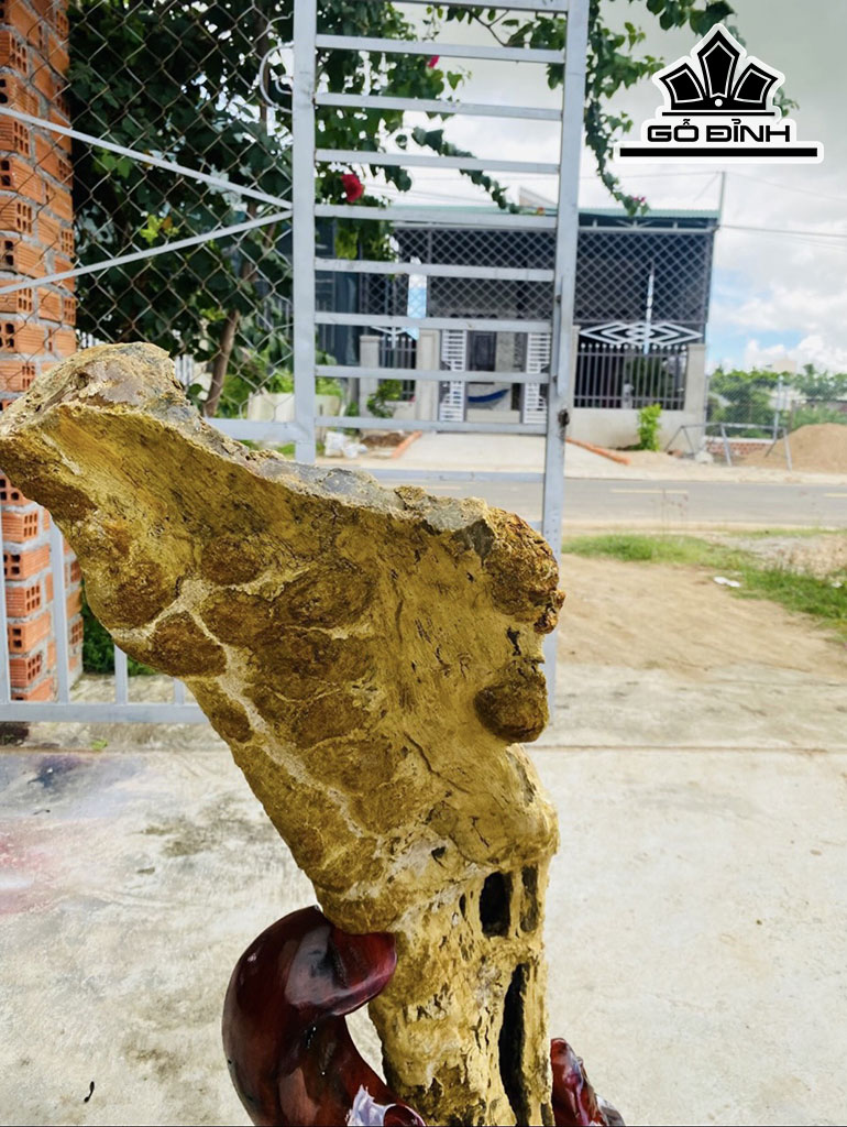 Tác Phẩm Gỗ Hóa Thạch Cao 85 Rộng 60 (cm) 24,1kg