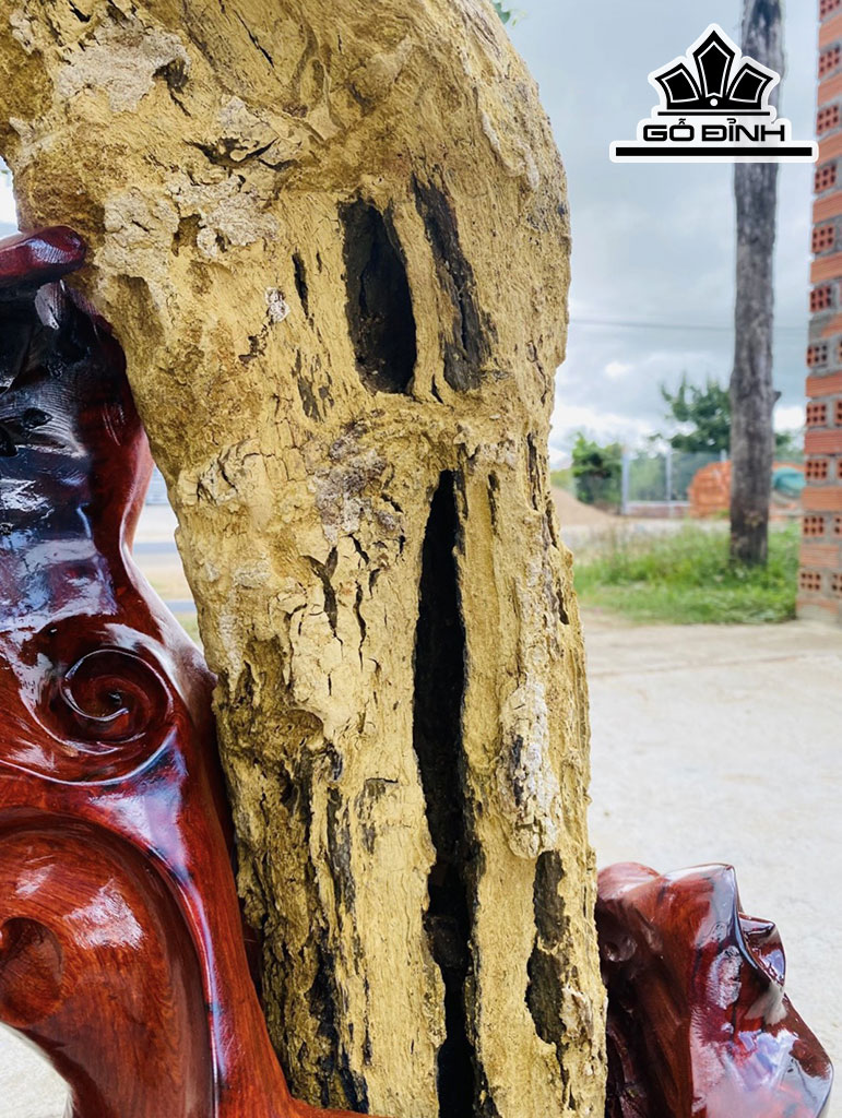 Tác Phẩm Gỗ Hóa Thạch Cao 85 Rộng 60 (cm) 24,1kg