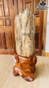 Tác Phẩm Gỗ Hóa Thạch Cao 100 Rộng 35 (cm) 86kg