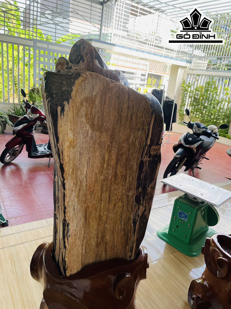 Tác Phẩm Gỗ Hóa Thạch Cao 118 Rộng 37 (cm) 117kg