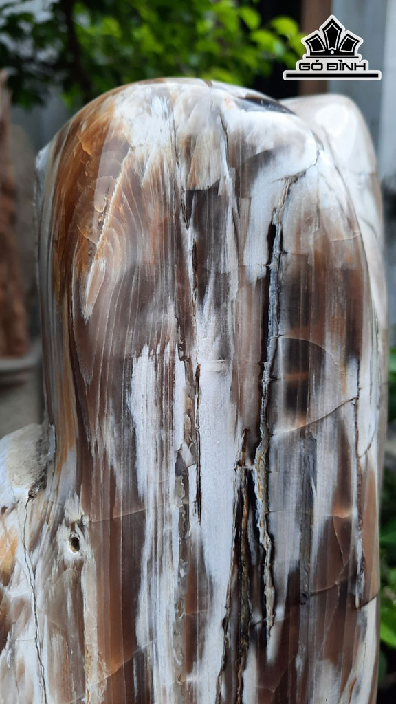 Tác Phẩm Gỗ Hóa Ngọc Cao 46 Ngang 20 (cm) 12,5kg