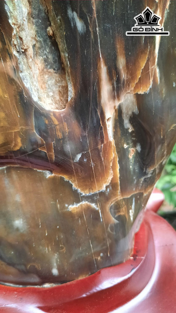 Tác Phẩm Gỗ Hóa Thạch Cao 48 Ngang 20 (cm) 17kg