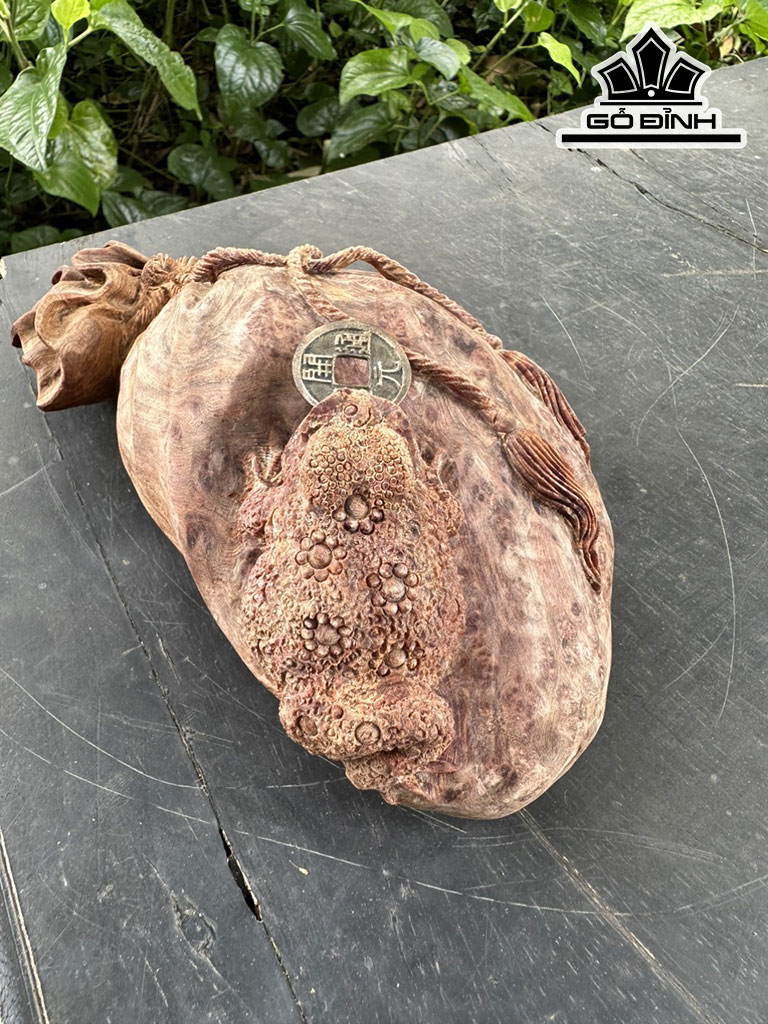 Tượng Cóc Ngậm Tiền Gỗ Nu Ngọc Am Cao 8 Ngang 22 Sâu 11 (cm)