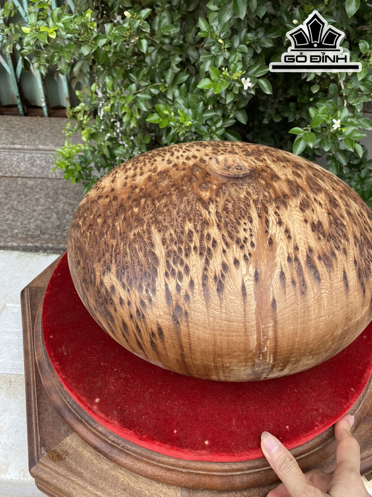 Chum Phú Quý Gỗ Nu Ngọc Am Cao 18 Đường Kính 36 (cm)