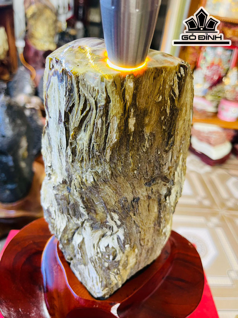 Tác Phẩm Gỗ Hóa Thạch Cao 32 (cm) 4,7kg
