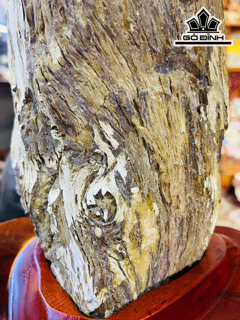 Tác Phẩm Gỗ Hóa Thạch Cao 32 (cm) 4,7kg