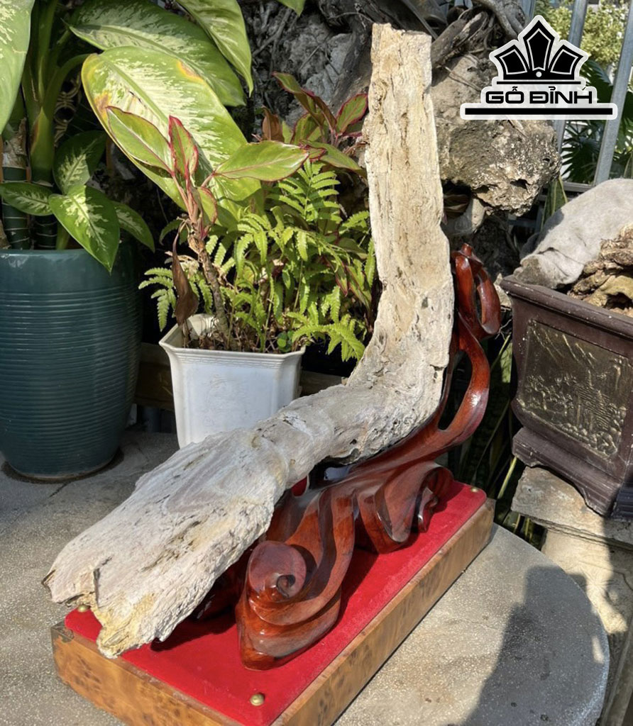 Tinh Thể Gỗ Hóa Thạch Cao 85 (cm) 9,8kg