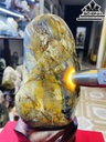 Tác Phẩm Gỗ Hóa Thạch Cao 32 (cm) 3,9kg