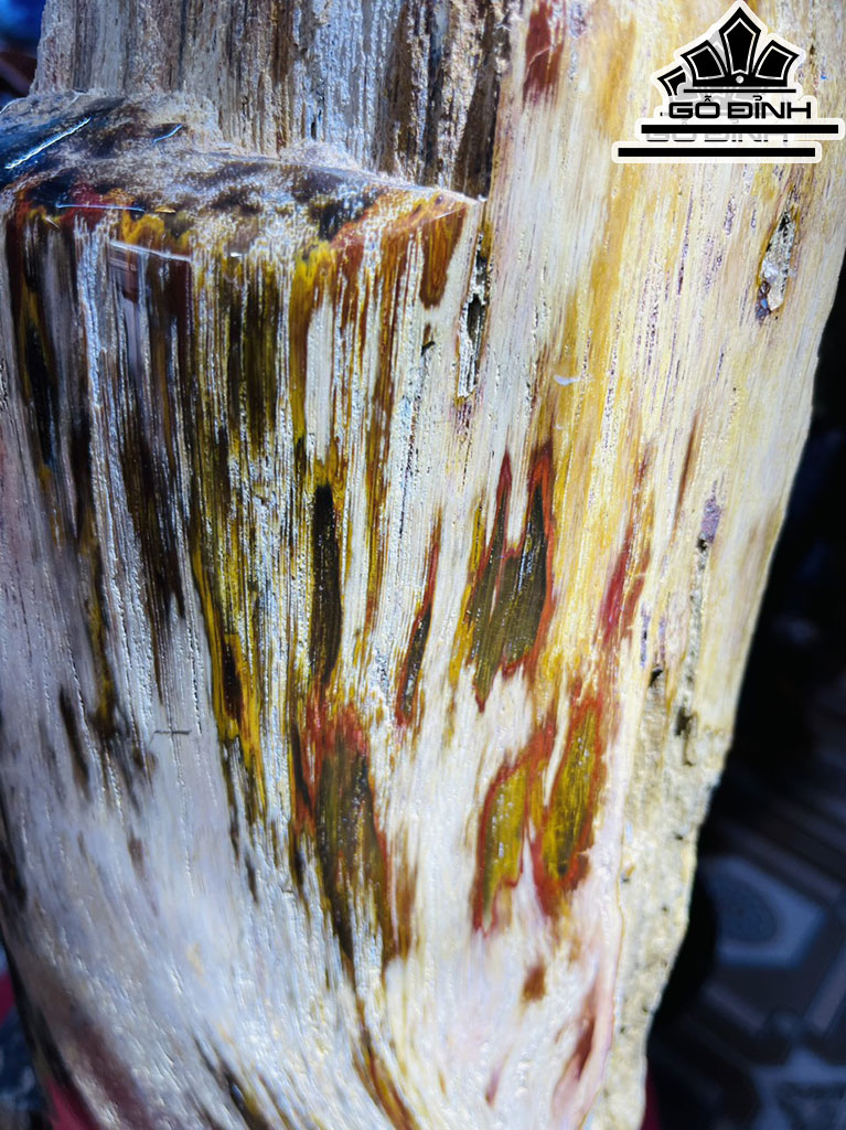 Tác Phẩm Gỗ Hóa Thạch Cao 63 (cm) 13kg