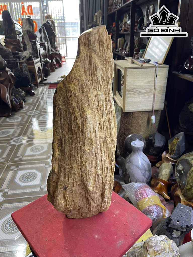 Tác Phẩm Gỗ Hóa Thạch Cao 63 (cm) 13kg