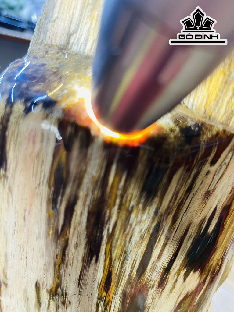 Tác Phẩm Gỗ Hóa Thạch Cao 63 (cm) 13kg