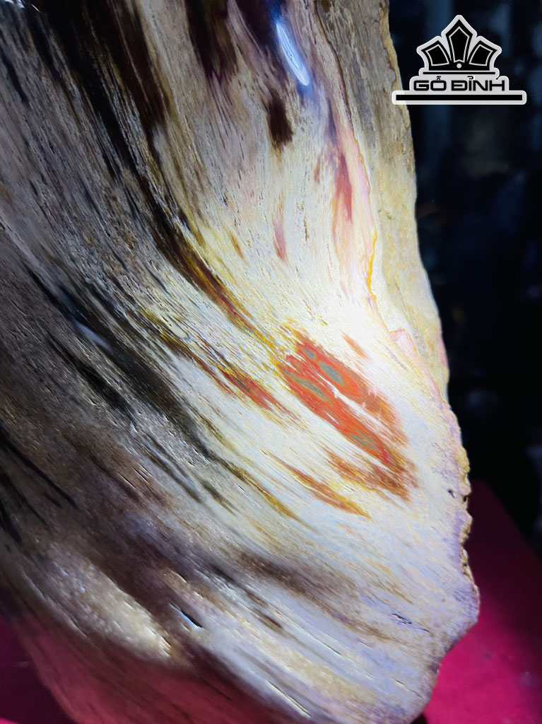 Tác Phẩm Gỗ Hóa Thạch Cao 63 (cm) 13kg