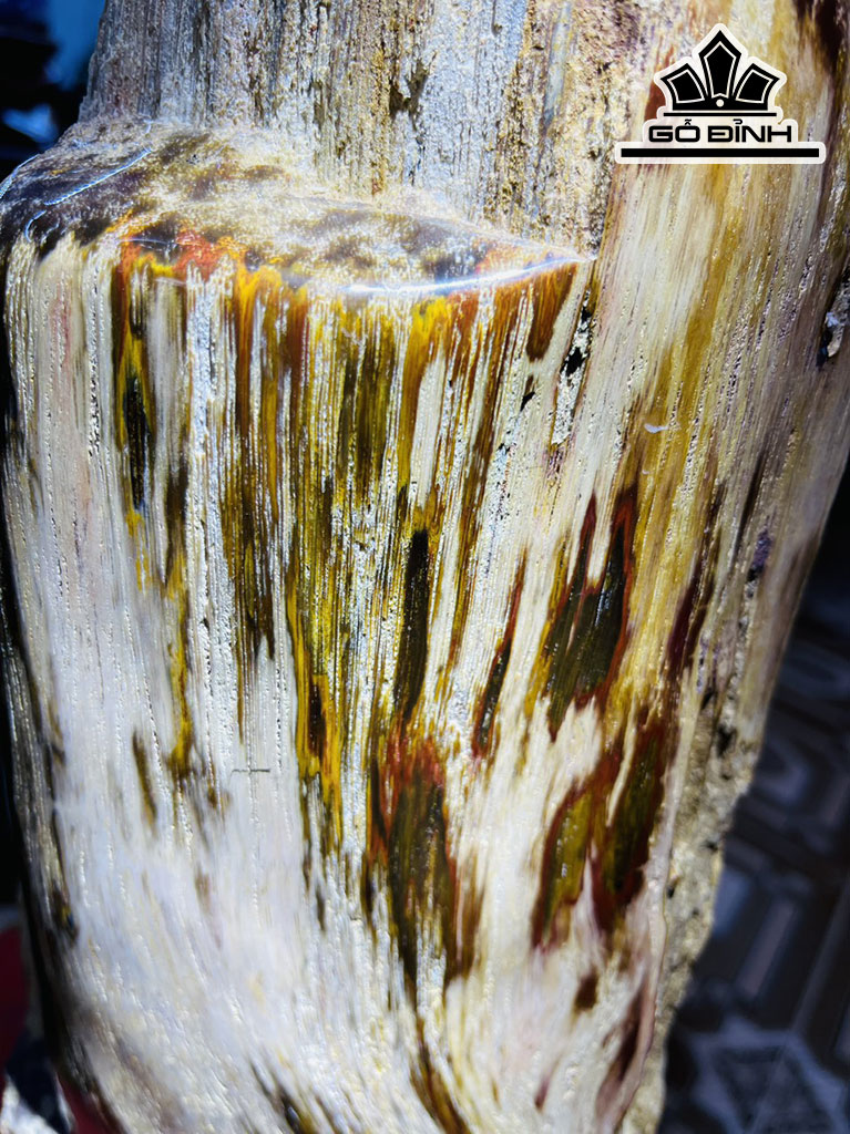 Tác Phẩm Gỗ Hóa Thạch Cao 63 (cm) 13kg