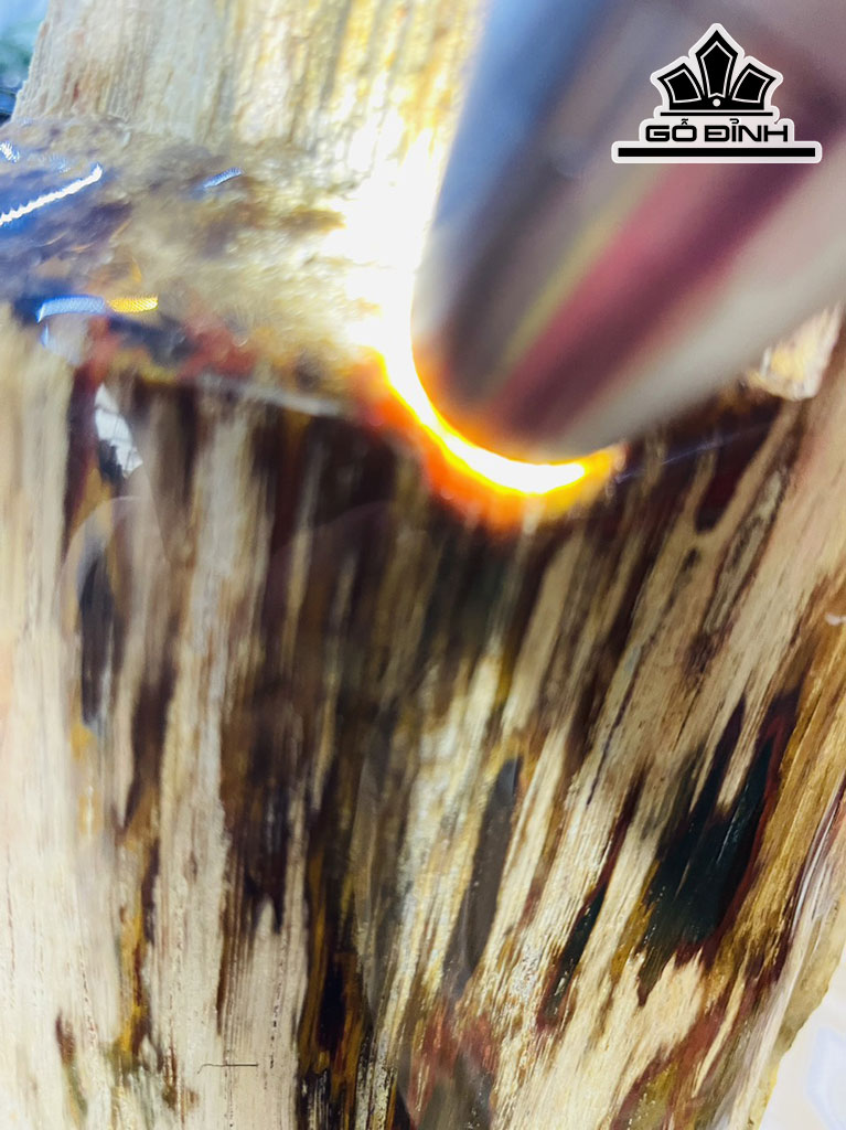 Tác Phẩm Gỗ Hóa Thạch Cao 63 (cm) 13kg