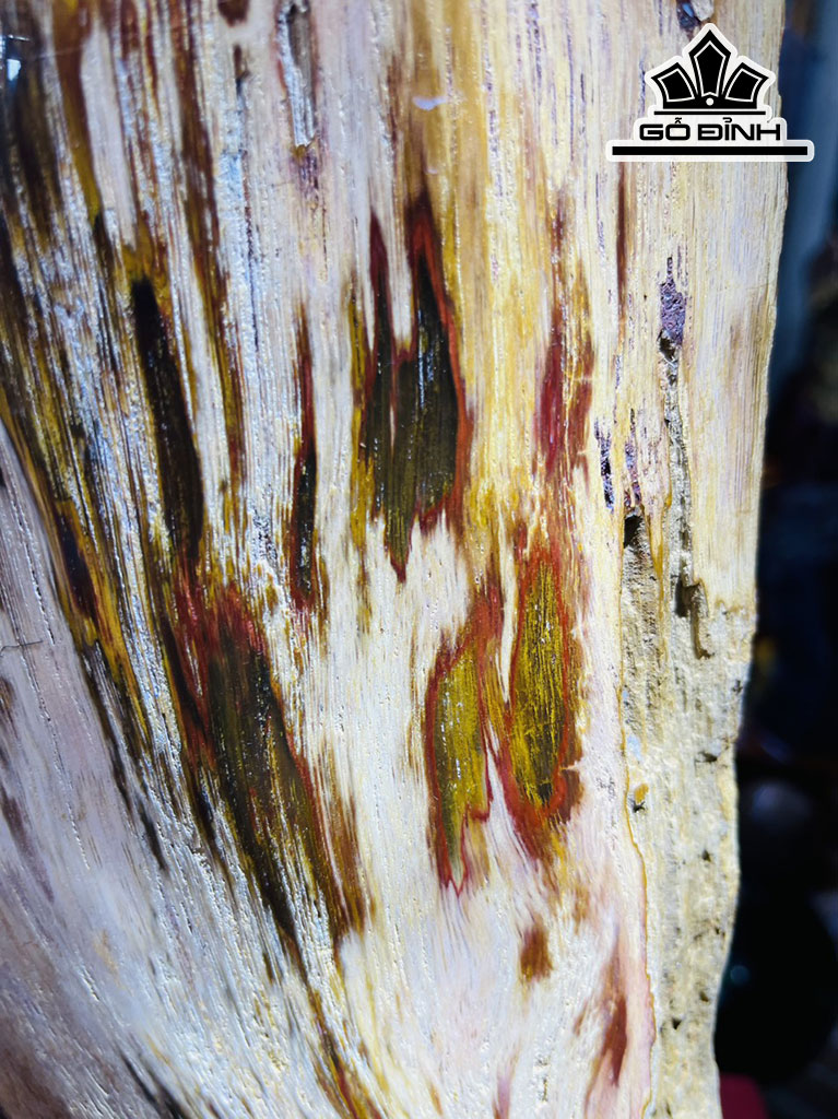 Tác Phẩm Gỗ Hóa Thạch Cao 63 (cm) 13kg