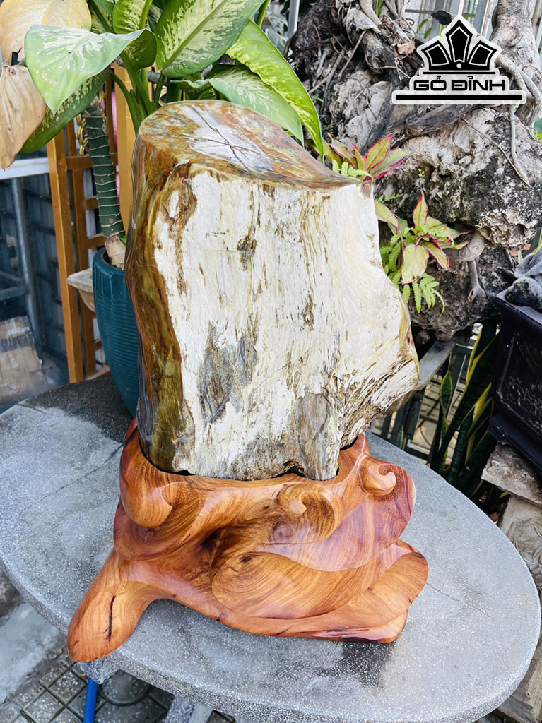 Tác Phẩm Gỗ Hóa Thạch Cao 65 Ngang 32 (cm) 48kg