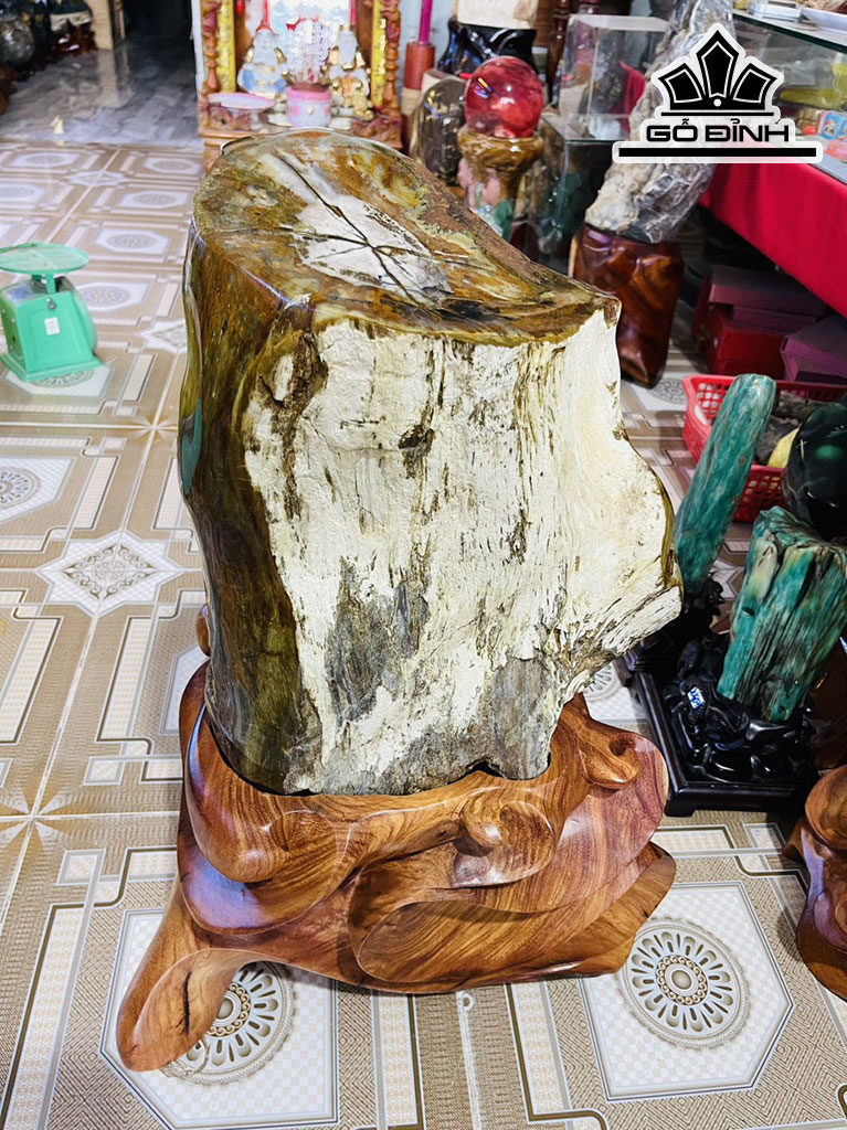 Tác Phẩm Gỗ Hóa Thạch Cao 65 Ngang 32 (cm) 48kg